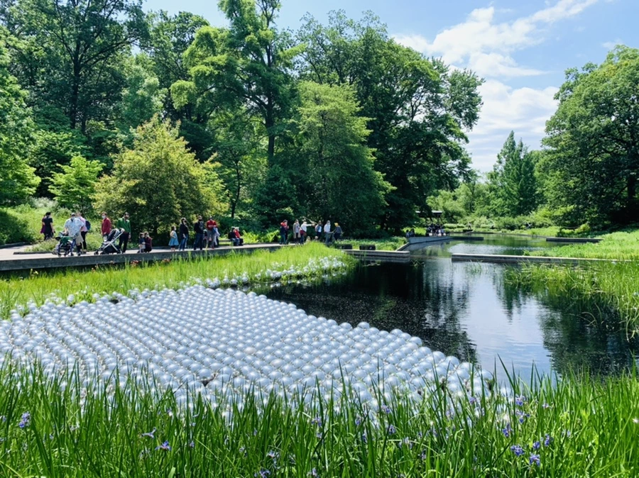 IMG_8434.jpg?type=w966