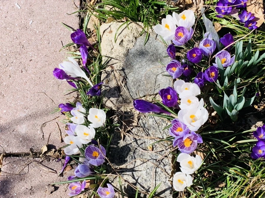 IMG_3289.jpg?type=w966