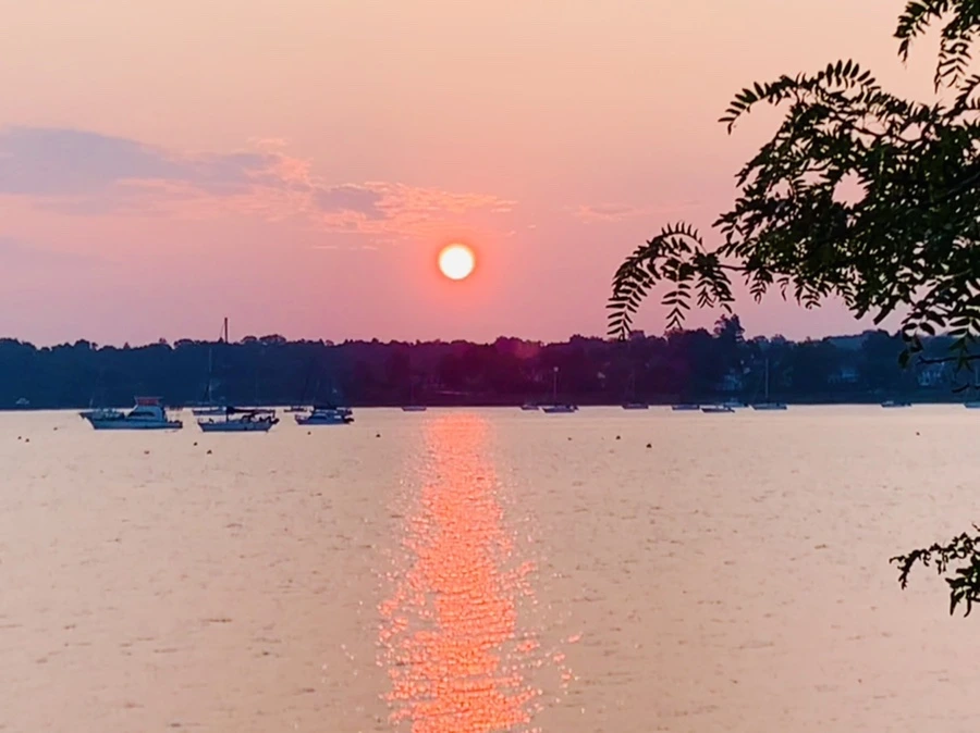 IMG_2501.jpg?type=w966