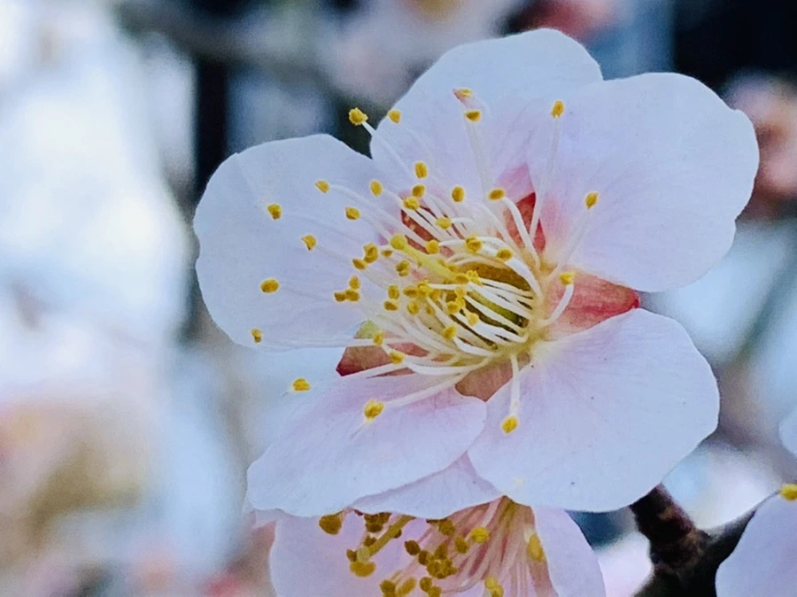 IMG_1027.jpg?type=w966