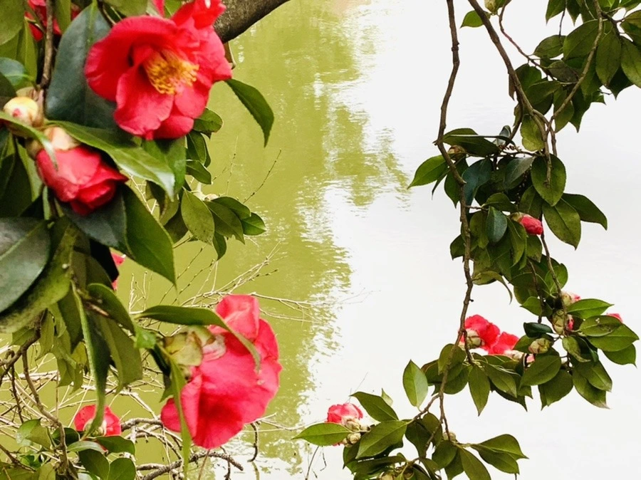 94QPG9_RT0r0Ea_hHfjeV9VEiPk