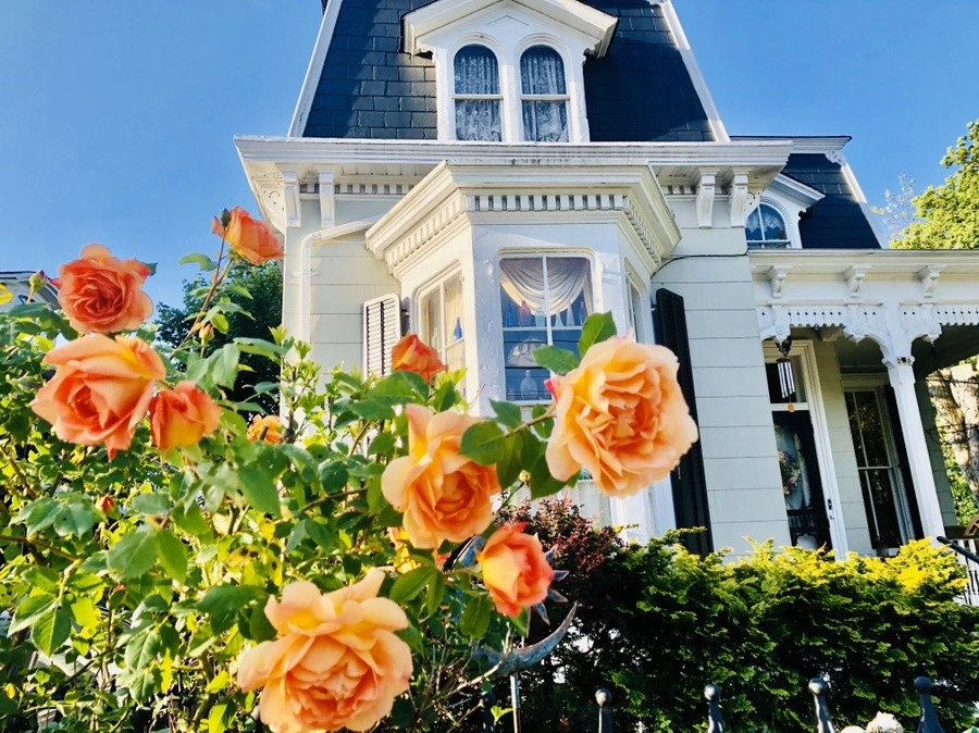 I7tgPksQSLuobjXiD43Oqpkkks4