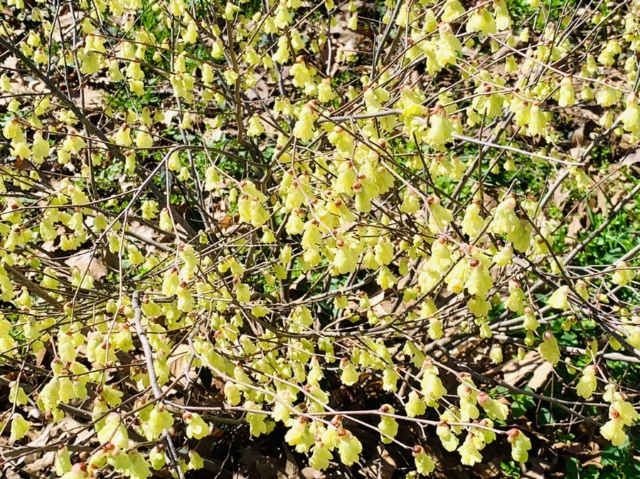 IMG_5695.jpg?type=w966