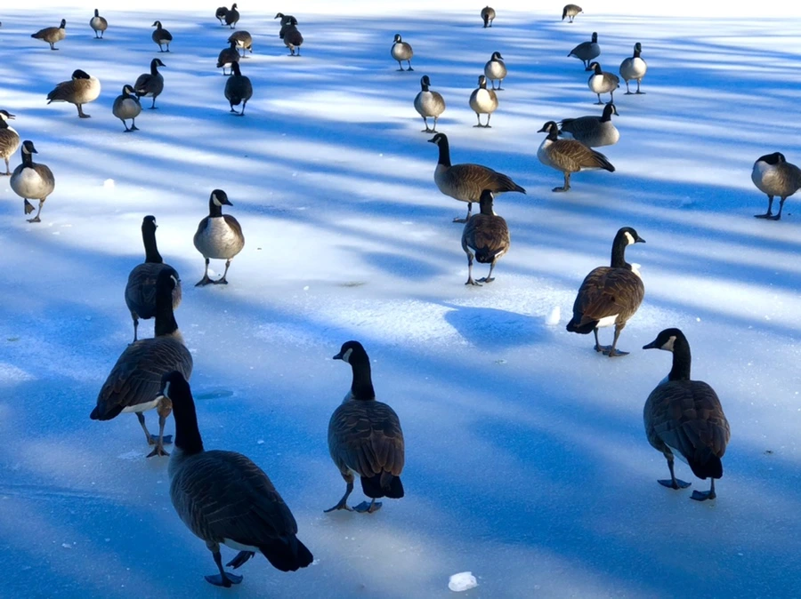 IMG_9922.jpg?type=w966