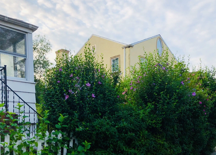 IMG_3662.jpg?type=w966