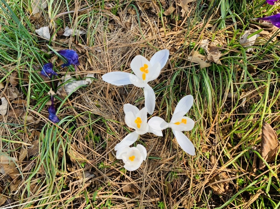 IMG_4363.jpg?type=w966