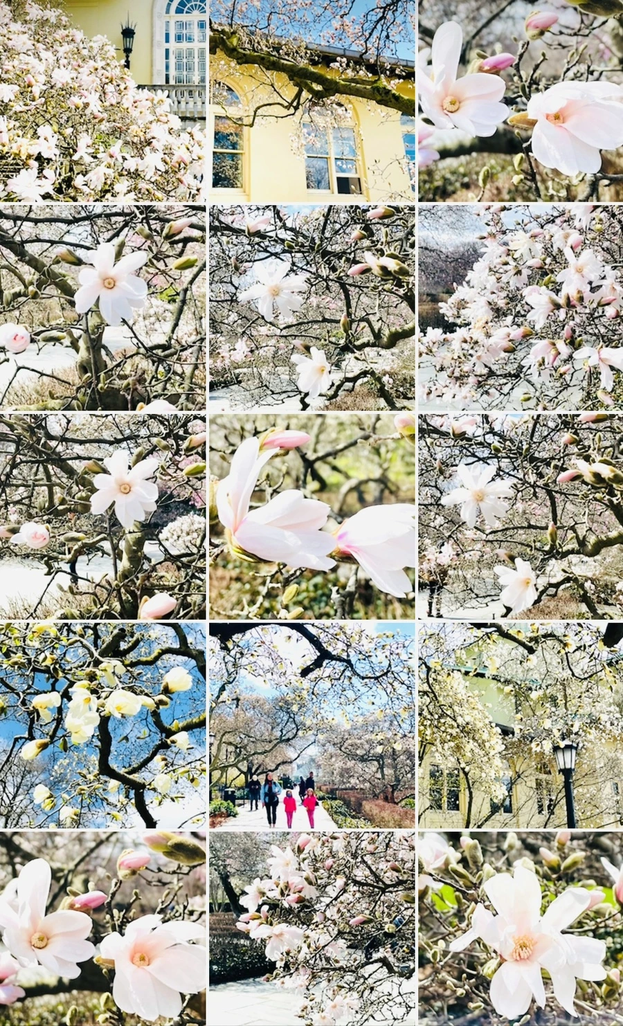 IMG_7293.jpg?type=w966