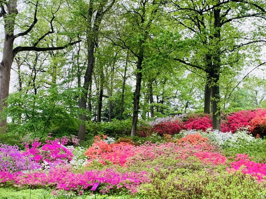 IMG_9937.jpg?type=w966