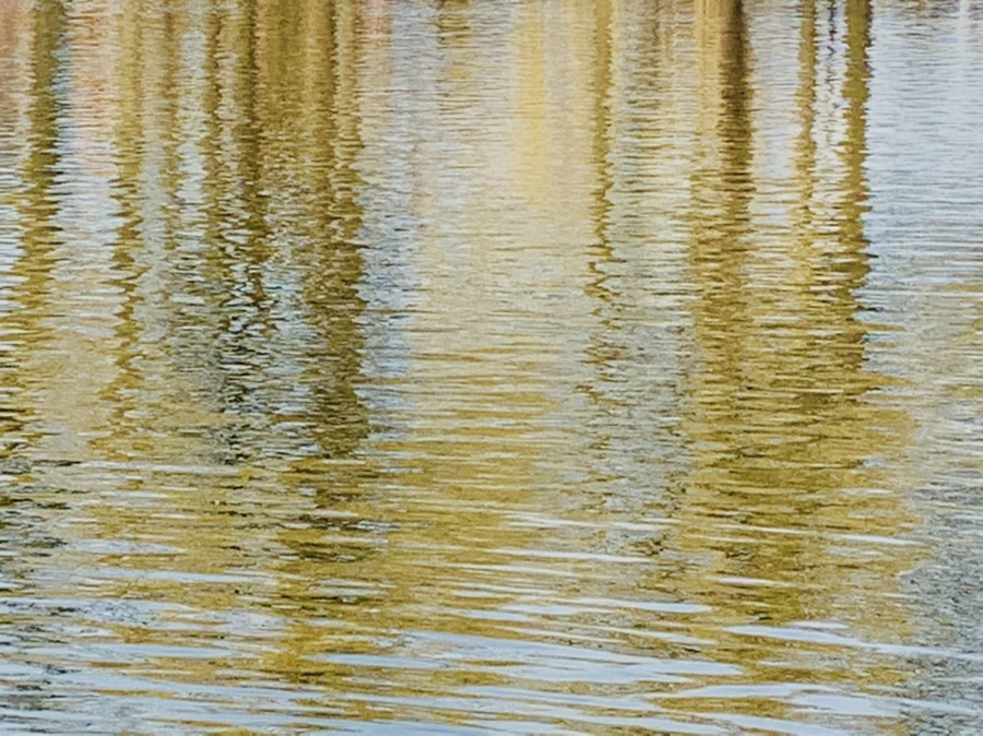 IMG_0319.jpg?type=w966