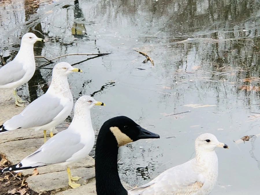 IMG_0025.jpg?type=w966