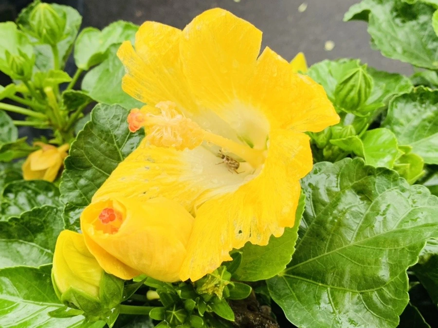 jNwgpMMAdaxeOUa2WM_UCZbEH4g