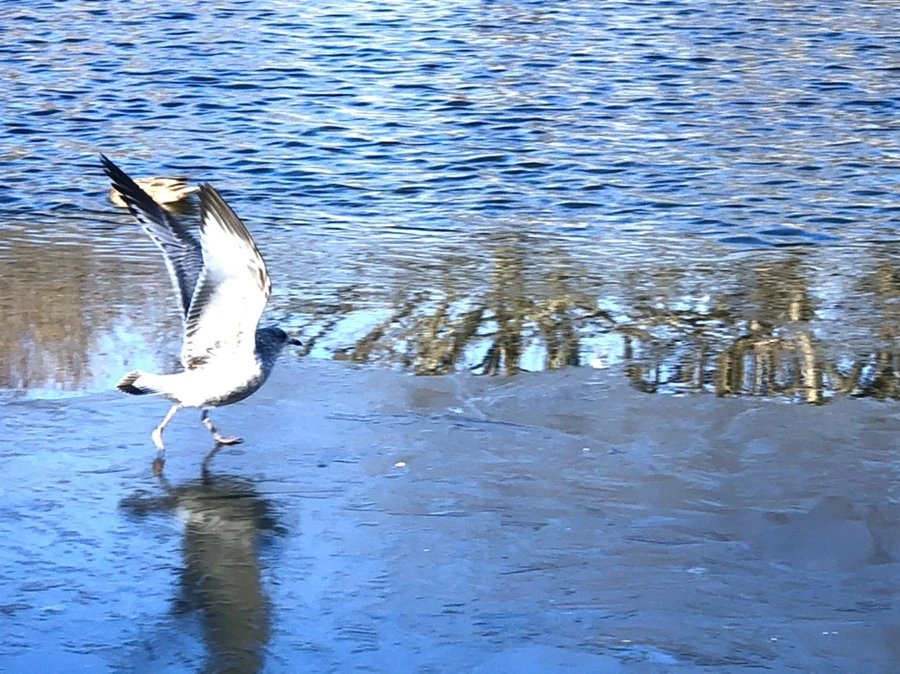 IMG_0582.jpg?type=w966