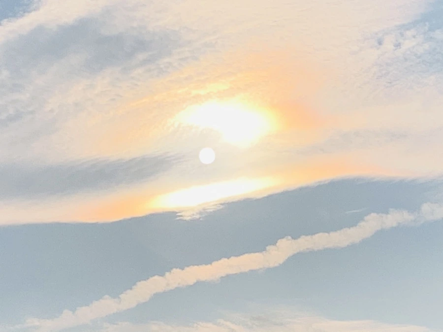 IMG_2240.jpg?type=w966