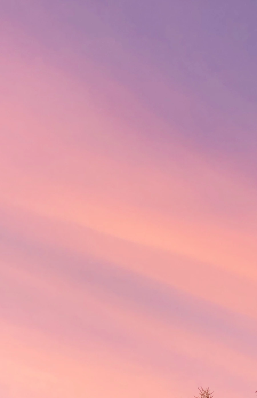 IMG_4566.jpg?type=w966