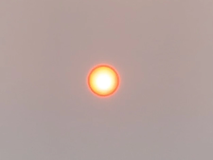 IMG_8055.jpg?type=w966