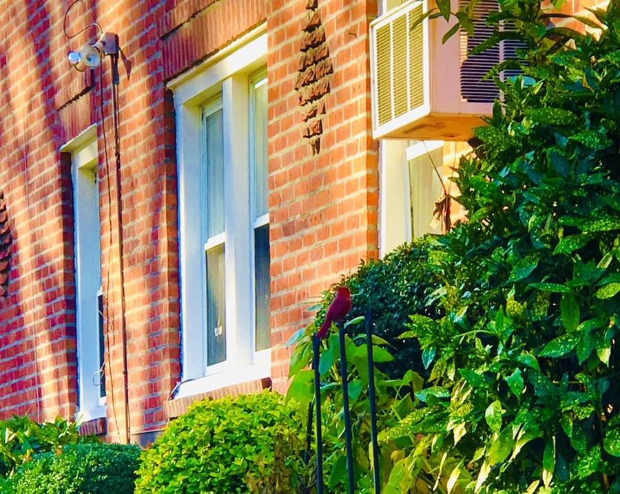 IMG_4129.jpg?type=w966