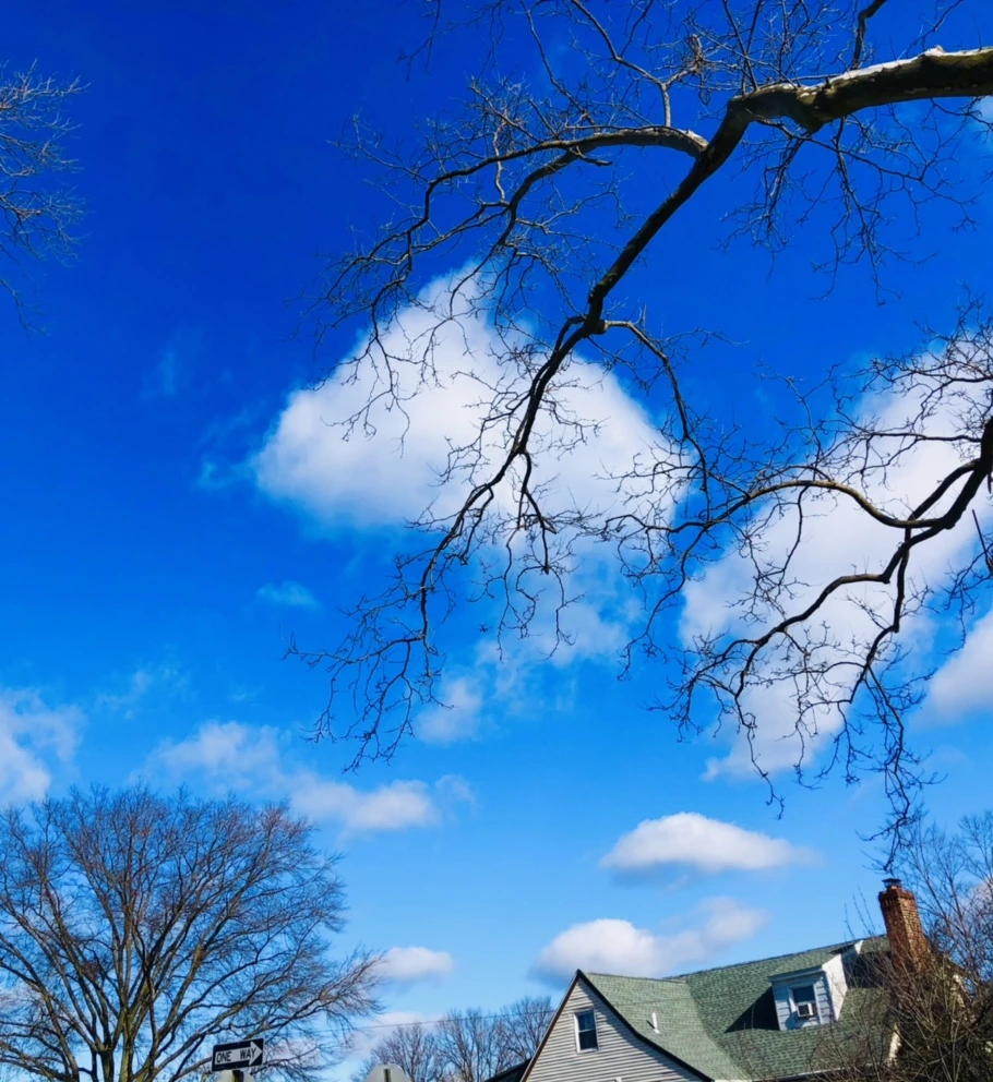 IMG_7556.jpg?type=w966