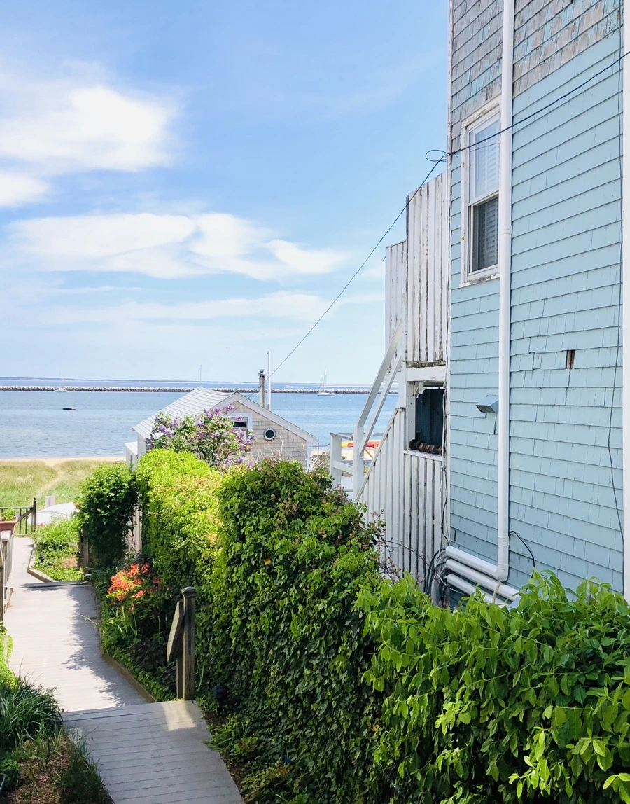 IMG_5080.jpg?type=w966