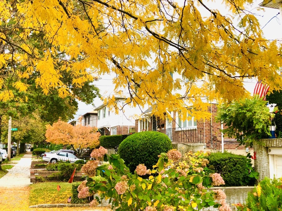 IMG_2371.jpg?type=w966