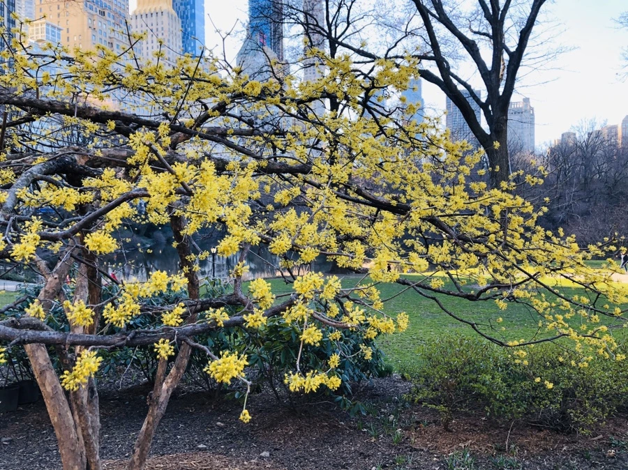 IMG_6382.jpg?type=w966