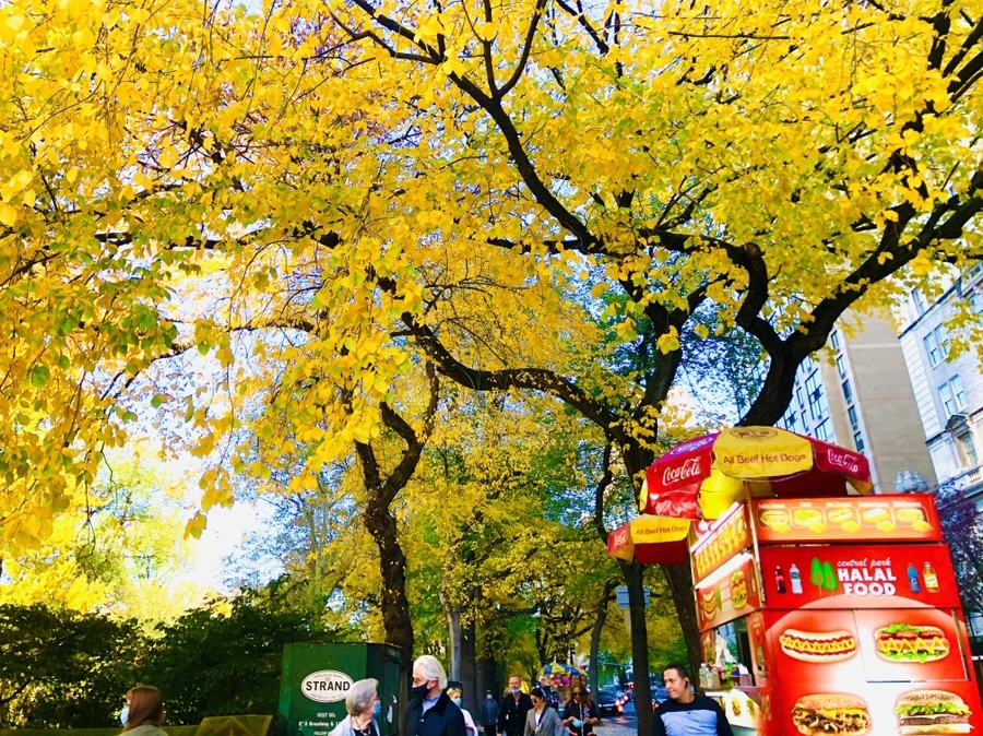 IMG_3740.jpg?type=w966