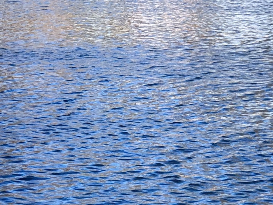 IMG_3831.jpg?type=w966