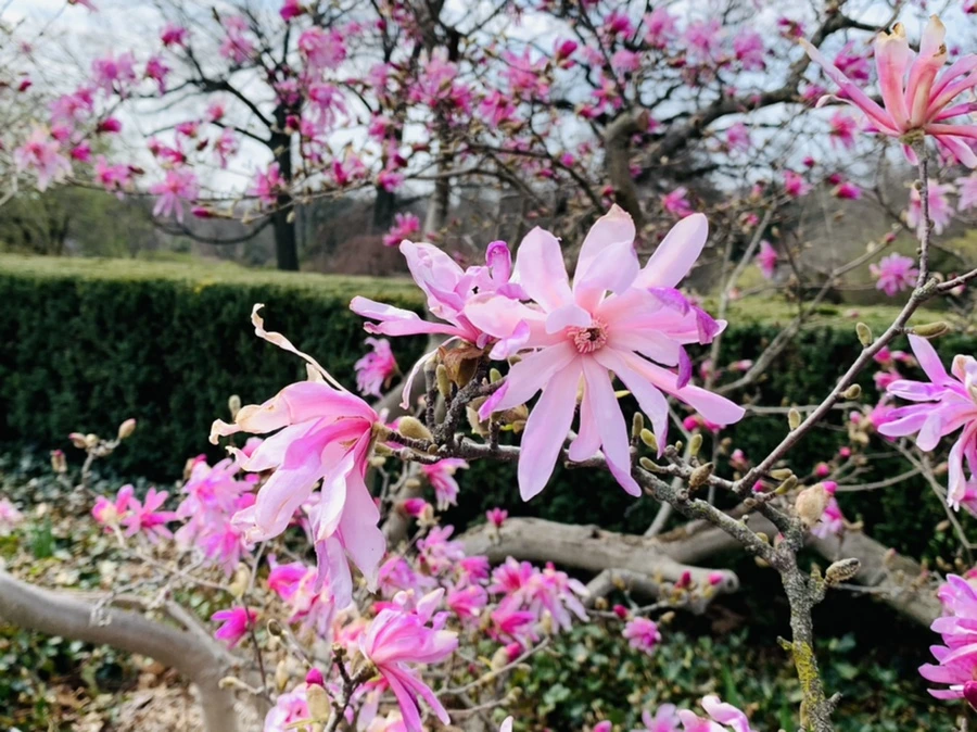 IMG_7248.jpg?type=w966