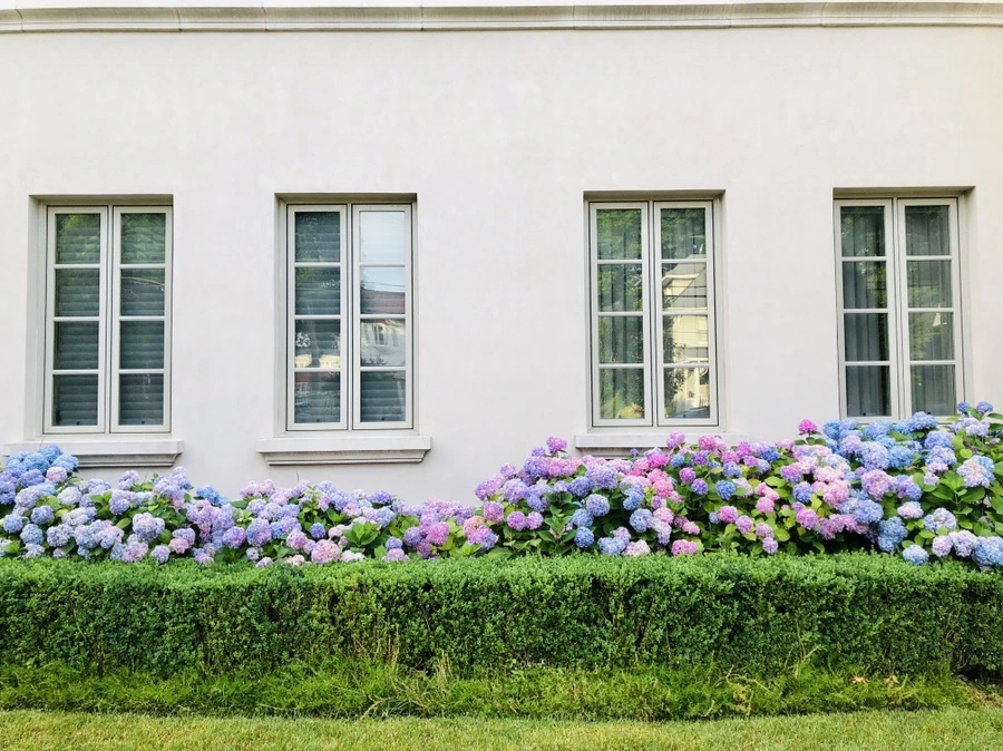 IMG_0417.jpg?type=w966