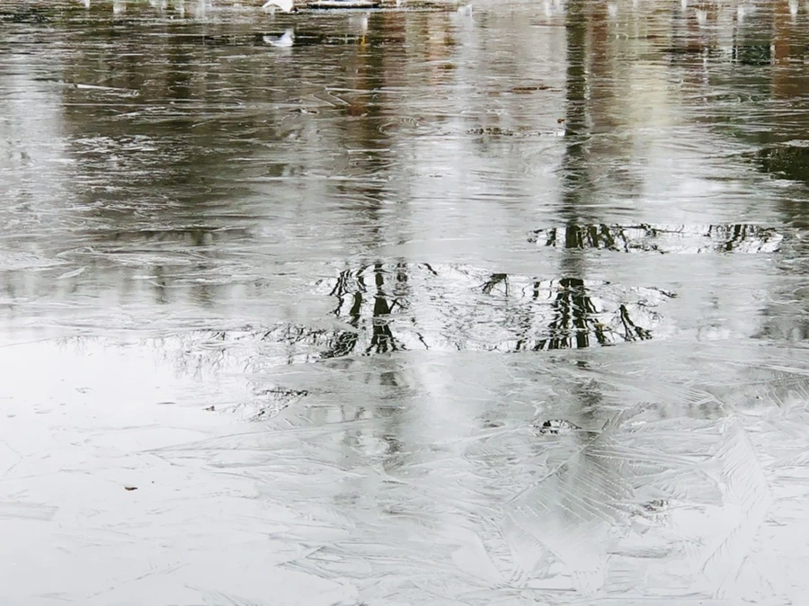 IMG_9042.jpg?type=w966