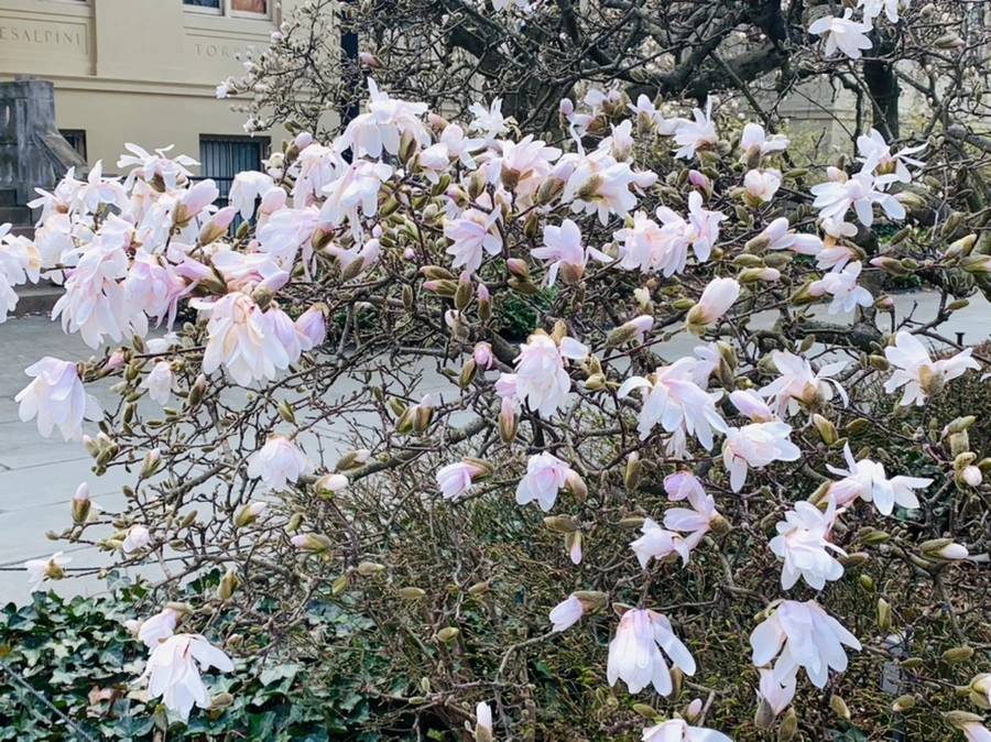 IMG_6512.jpg?type=w966