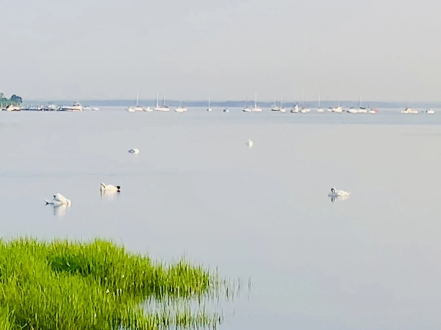 IMG_6165.jpg?type=w966