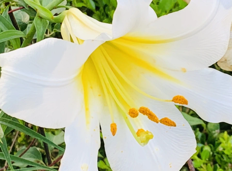 IMG_5941.jpg?type=w966