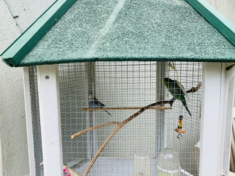 IMG_2376.jpg?type=w966