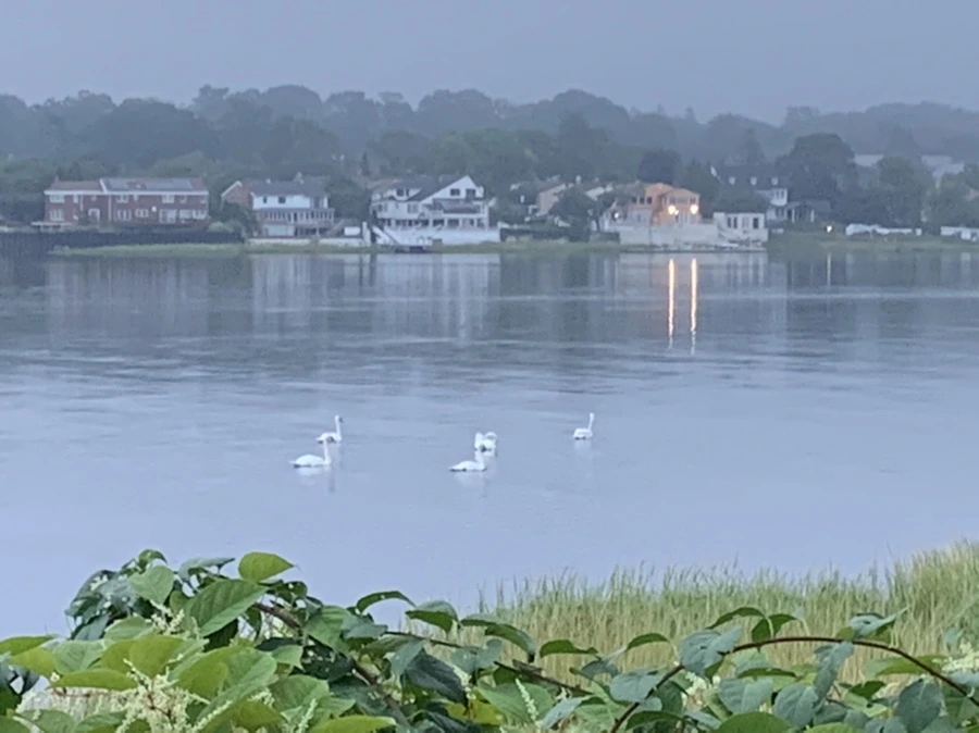 IMG_6655.jpg?type=w966