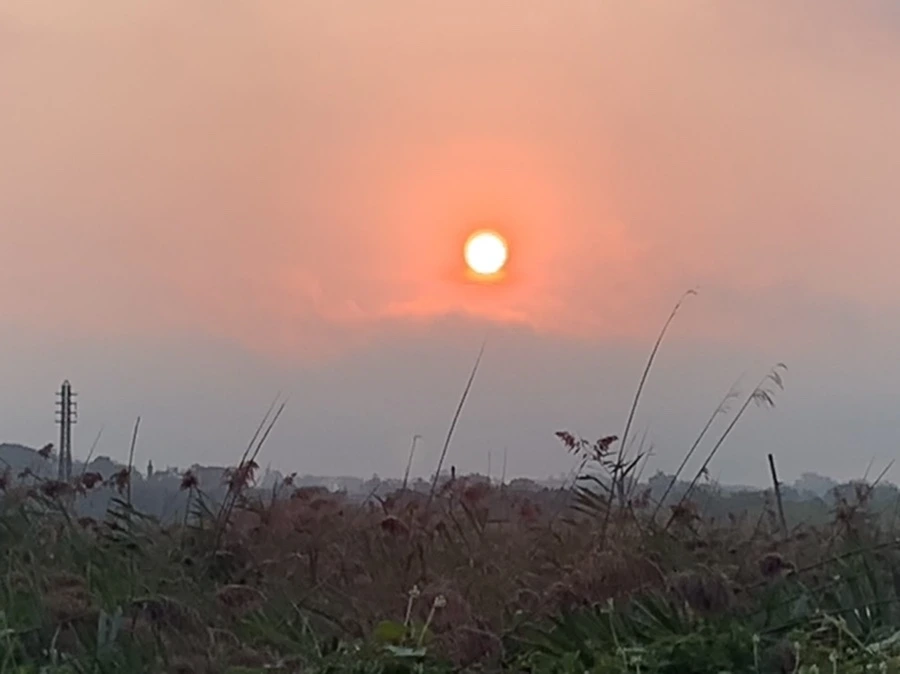 IMG_1149.jpg?type=w966