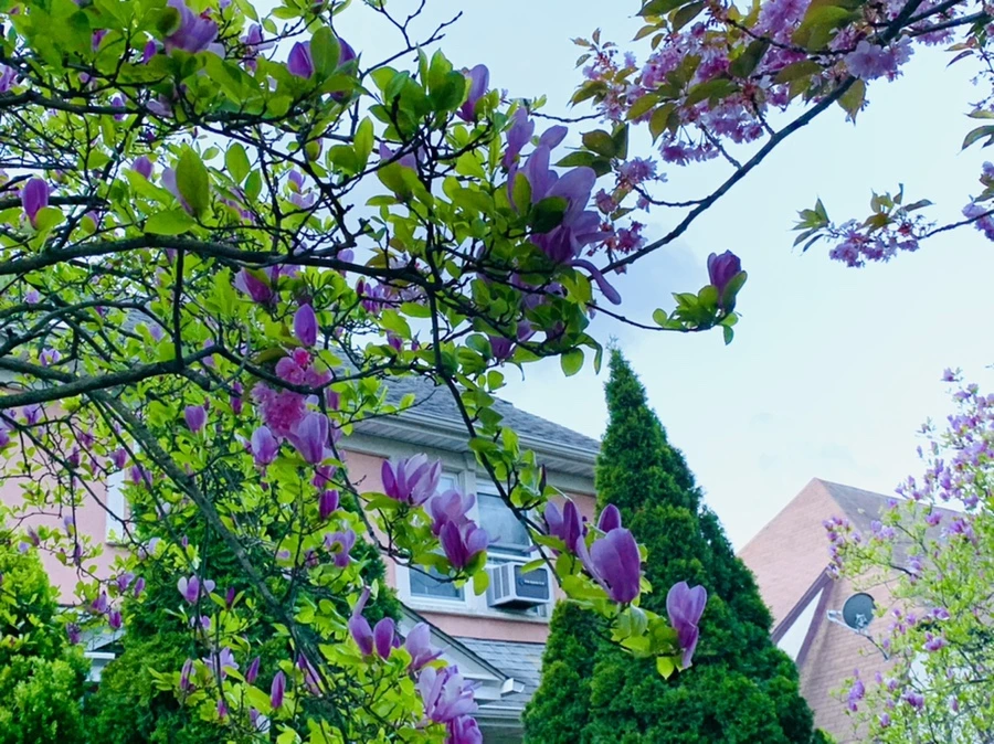 IMG_7512.jpg?type=w966