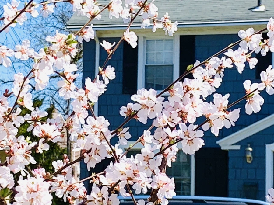 IMG_8075.jpg?type=w966