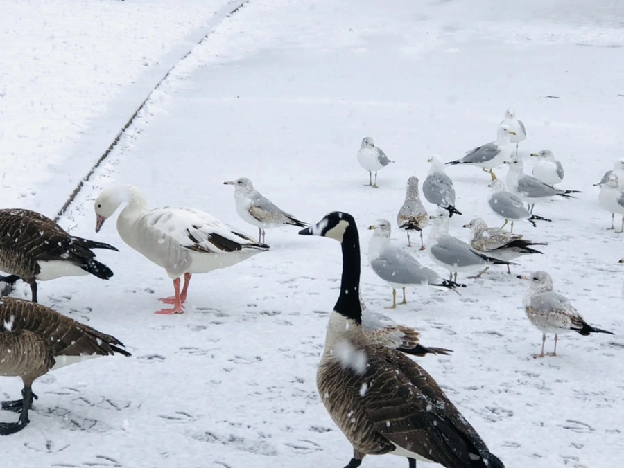 IMG_4178.jpg?type=w966