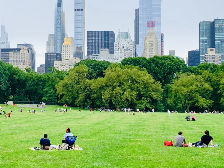 IMG_3347.jpg?type=w966