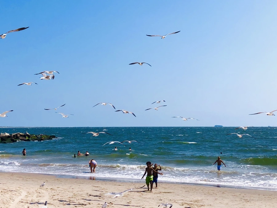 IMG_7247.jpg?type=w966