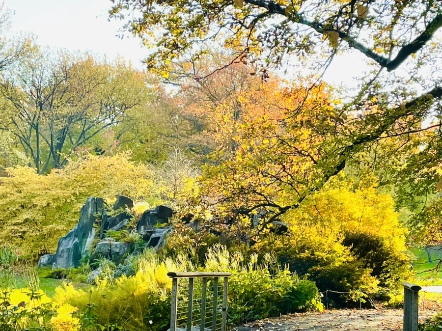 IMG_1869.jpg?type=w966