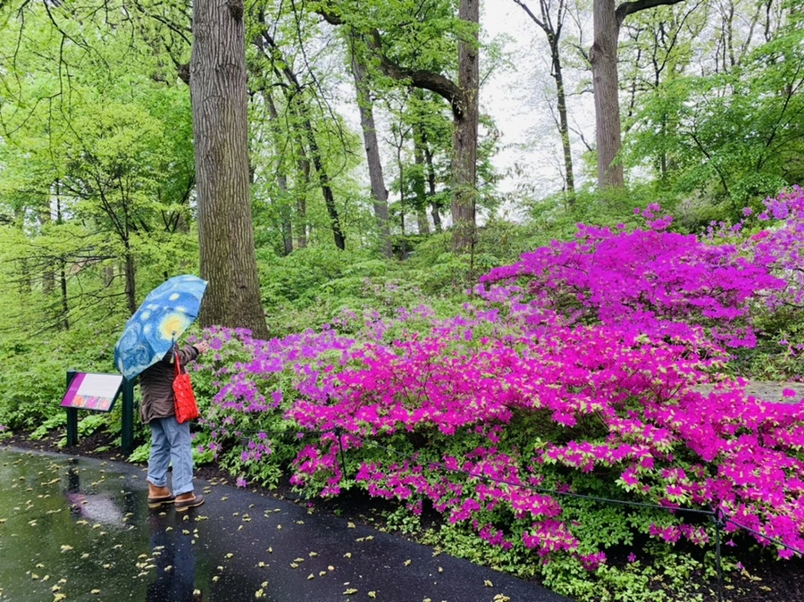 IMG_9932.jpg?type=w966