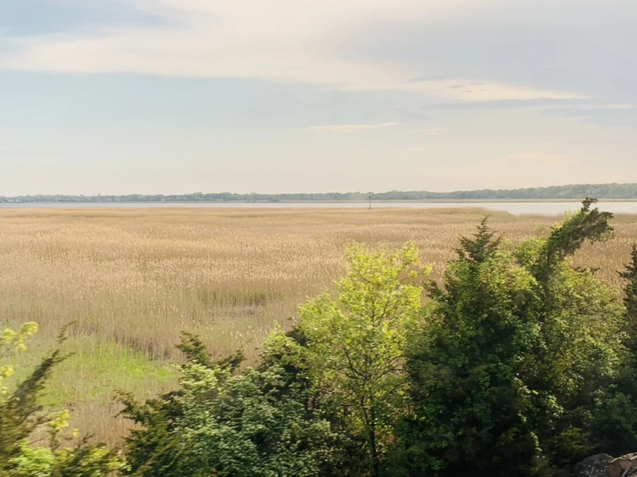 IMG_3193.jpg?type=w966