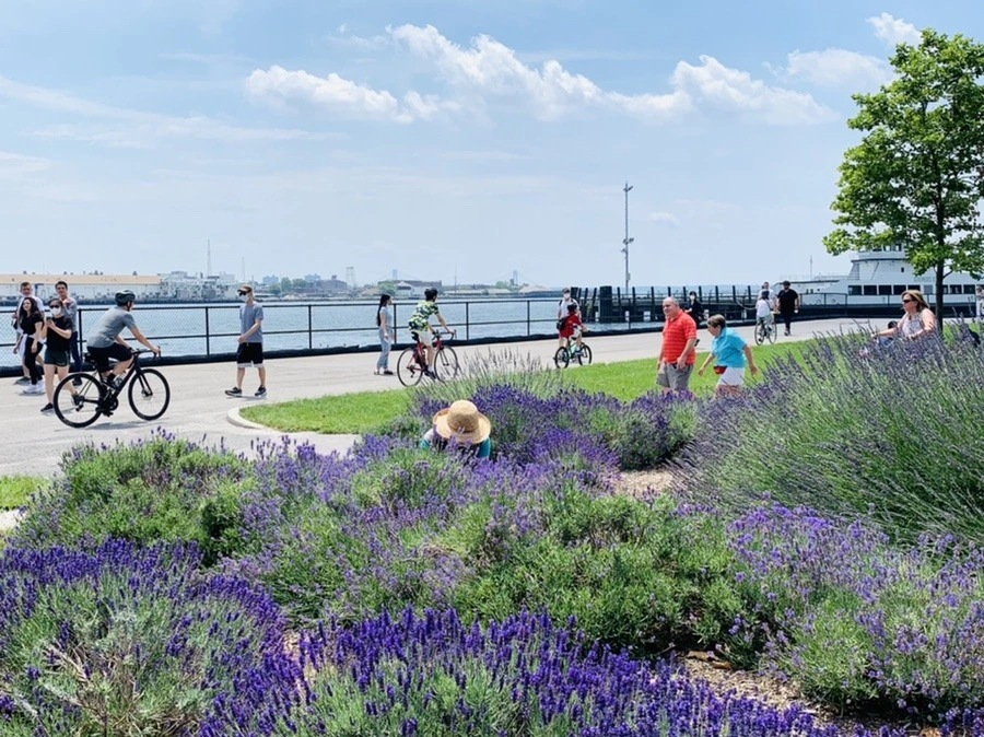 3QY-cFd0R98yNm28yu4iPjacQuw