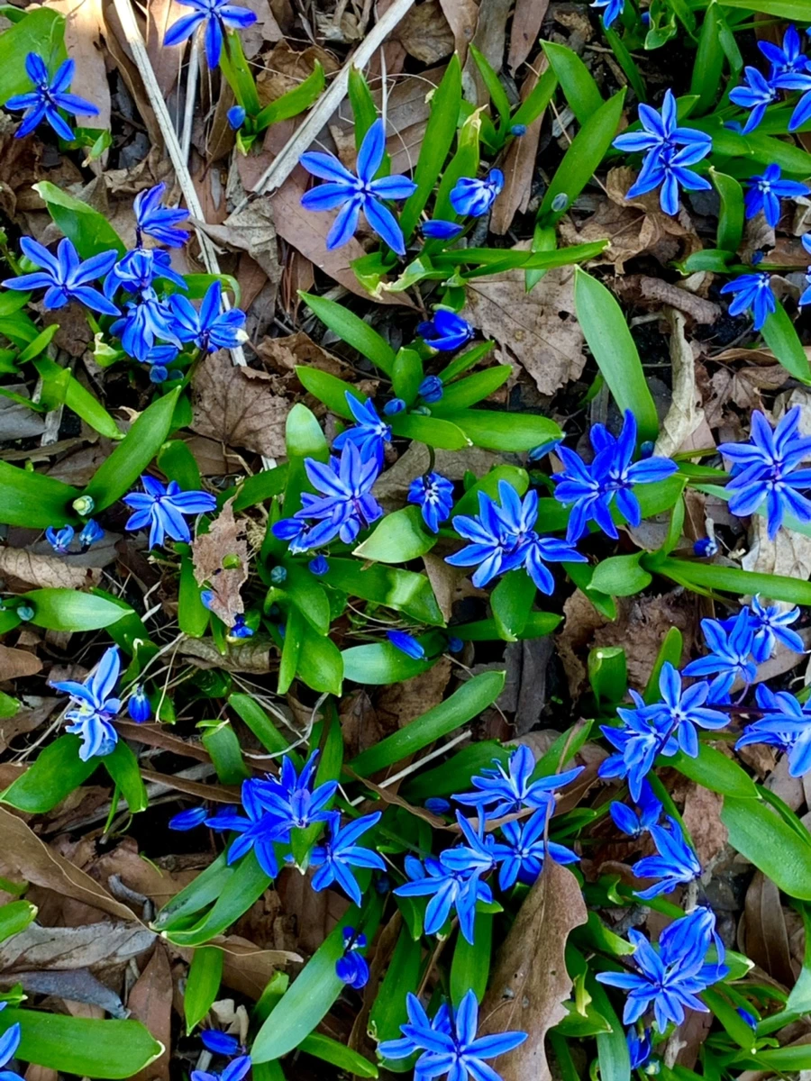 IMG_5657.jpg?type=w966