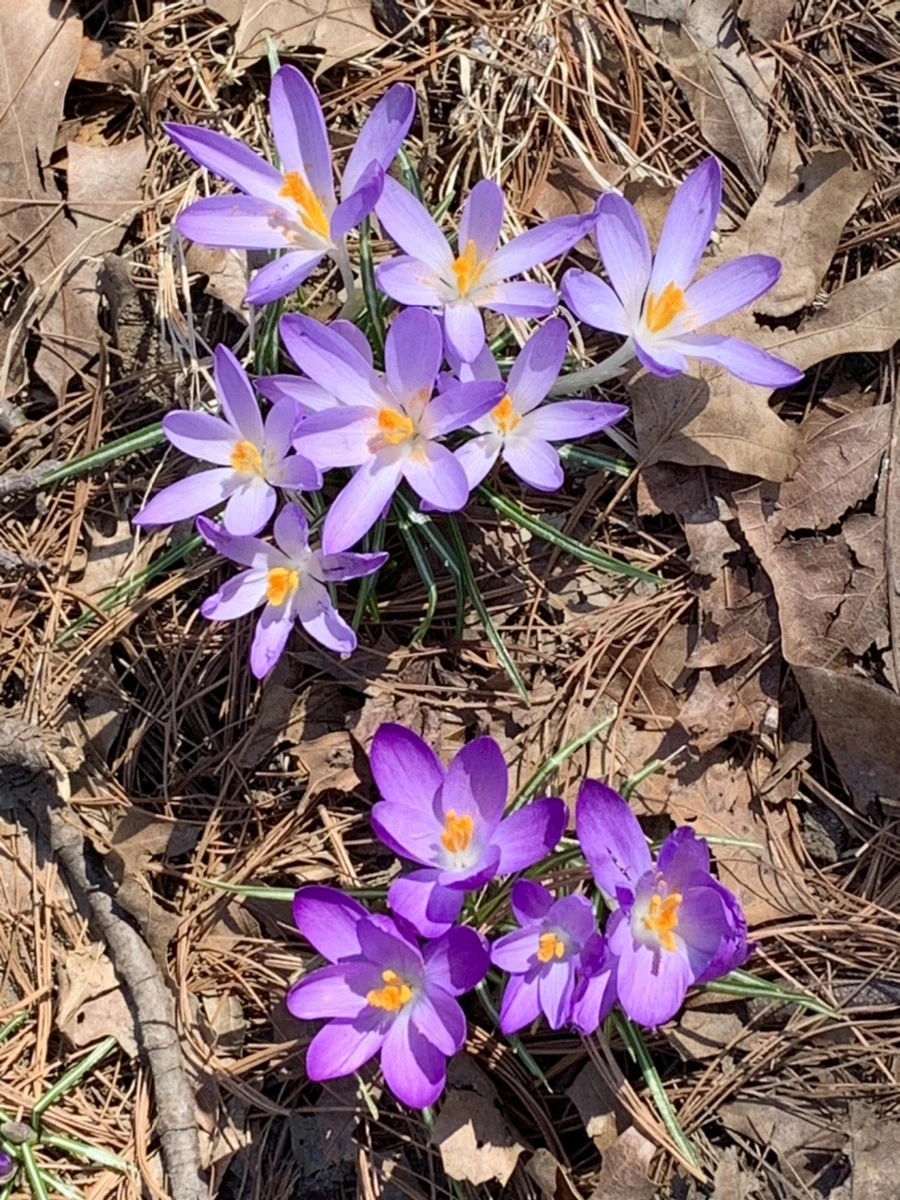 IMG_9735.jpg?type=w966