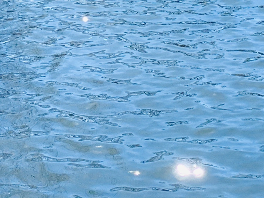 IMG_7550.jpg?type=w966