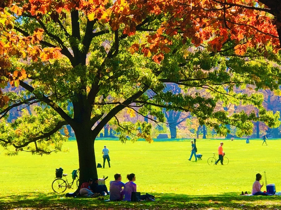 IMG_4334.jpg?type=w966