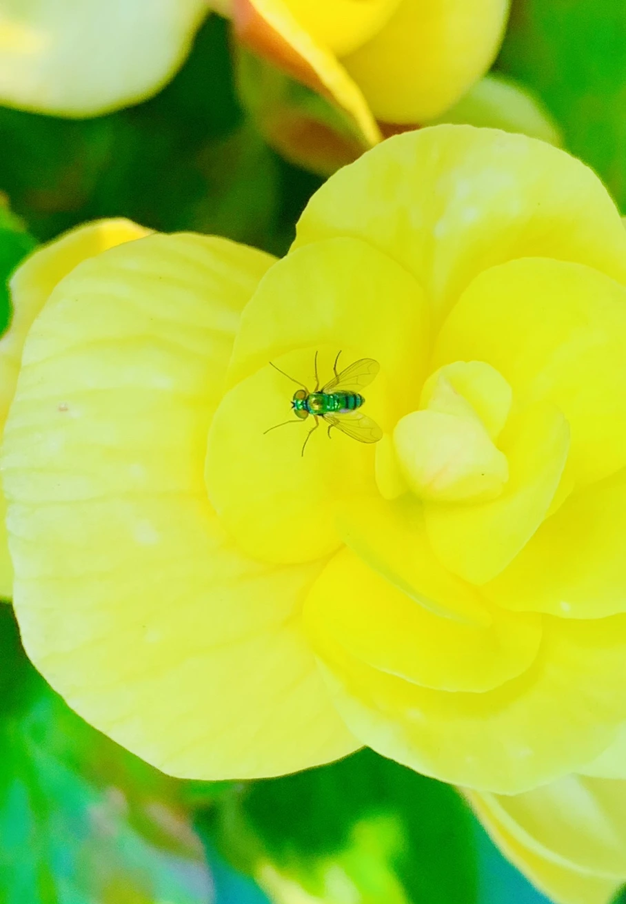 IMG_8326.jpg?type=w966