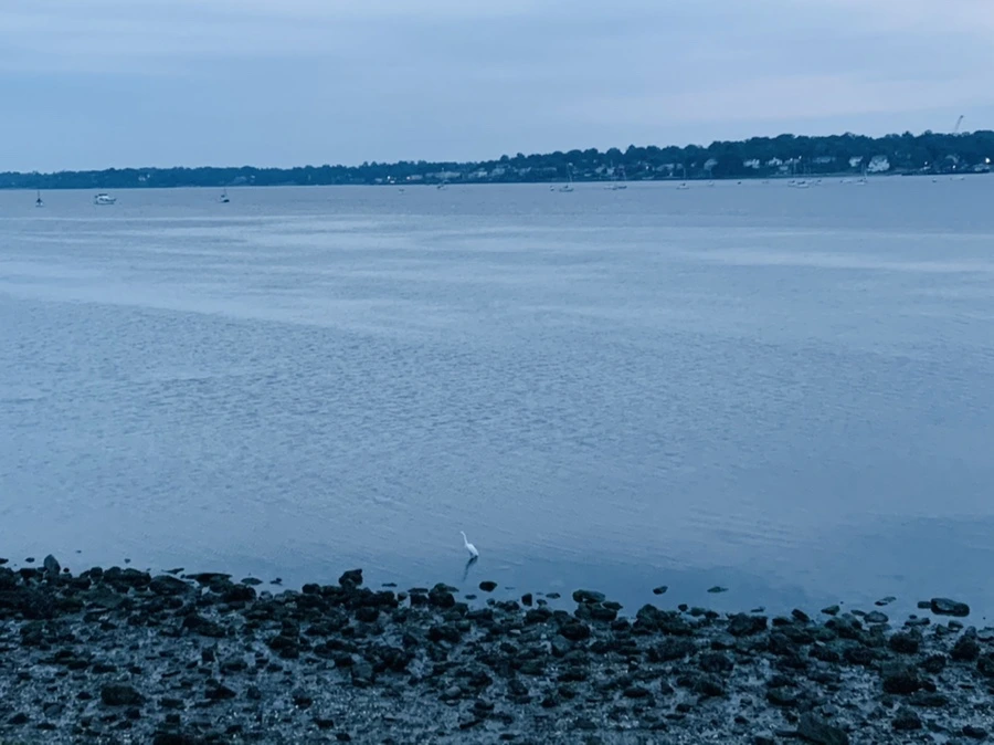 IMG_0691.jpg?type=w966